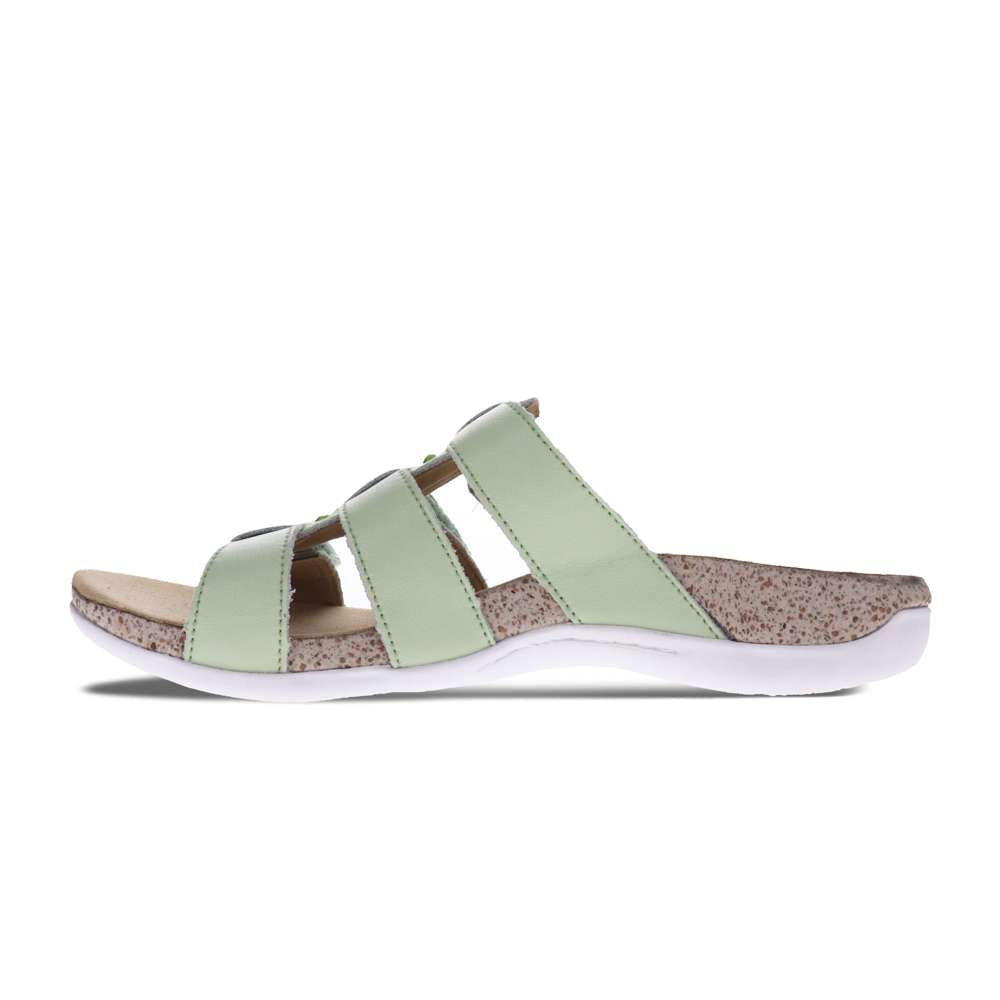 Andrea Slide Sandal - Pale Green