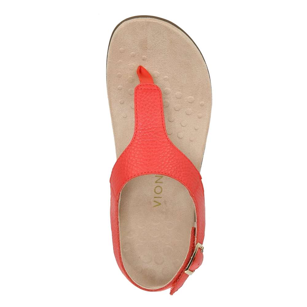 Terra Sandal - Poppy